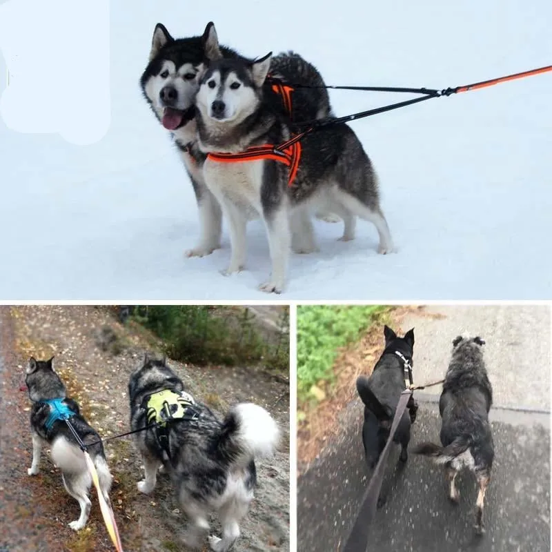 Double Ended Reflective Leash