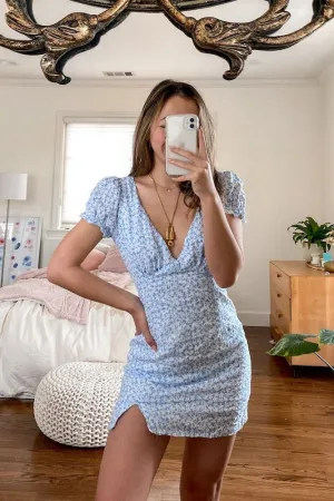 Exploring Versailles Dress
