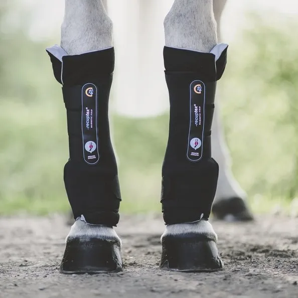 Magnetic Stable Boots Recuptex Equine Therapy | Kentucky