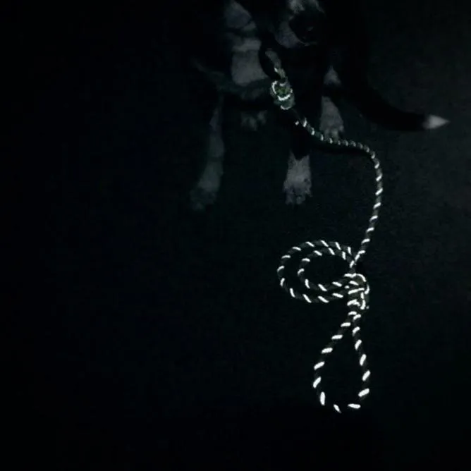 Razzleberry Reflective Quick Clip Leash